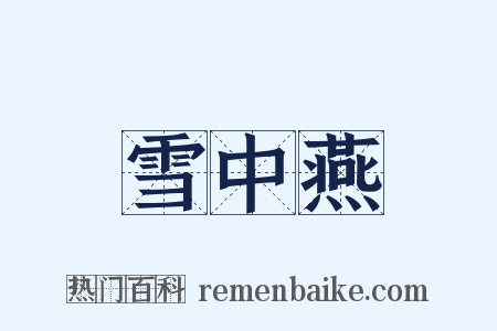 雪中燕是什么意思的图片